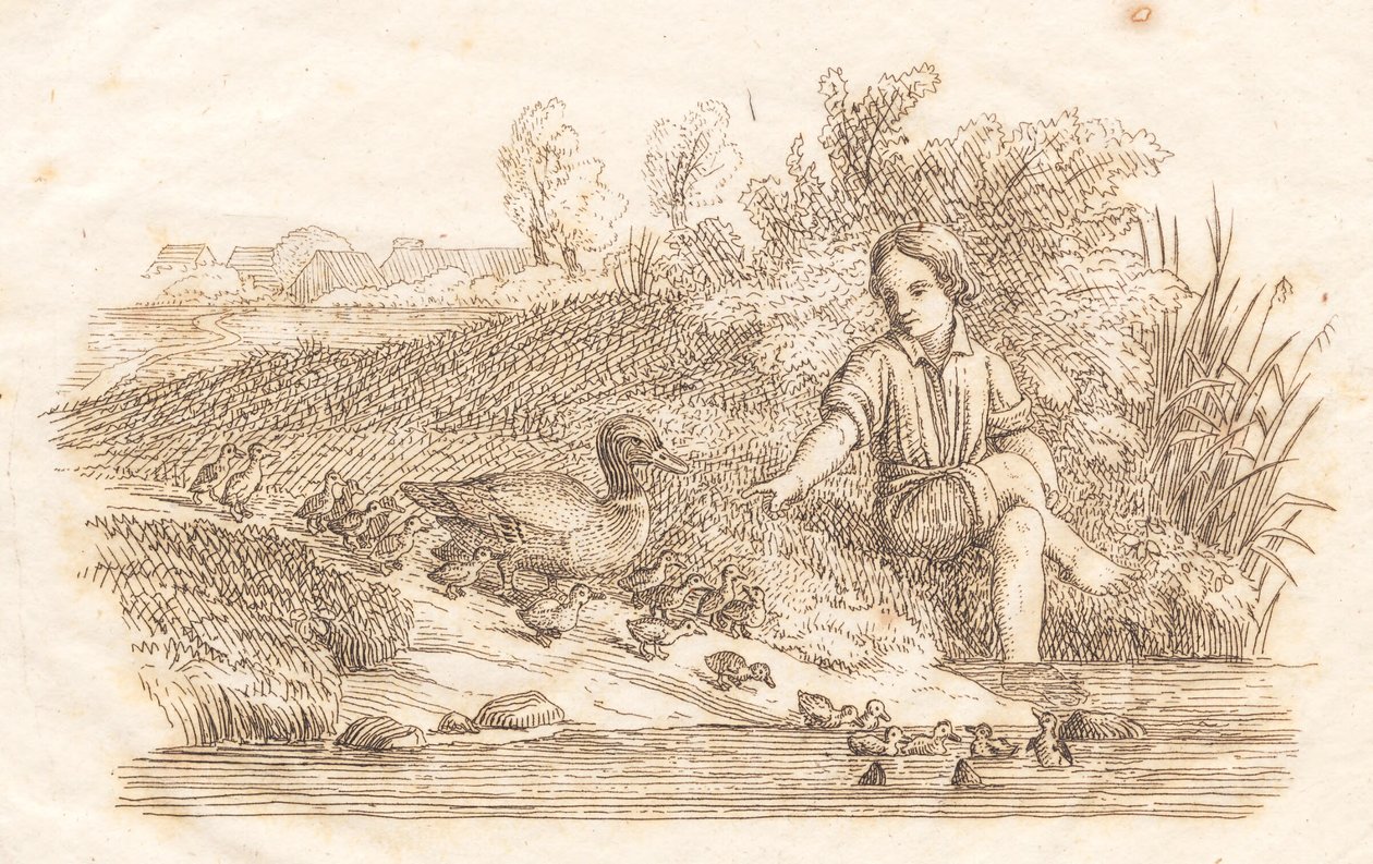 Illustration zu "Halbhundert Fabeln für Kinder" von Hey von Martinus Rørbye