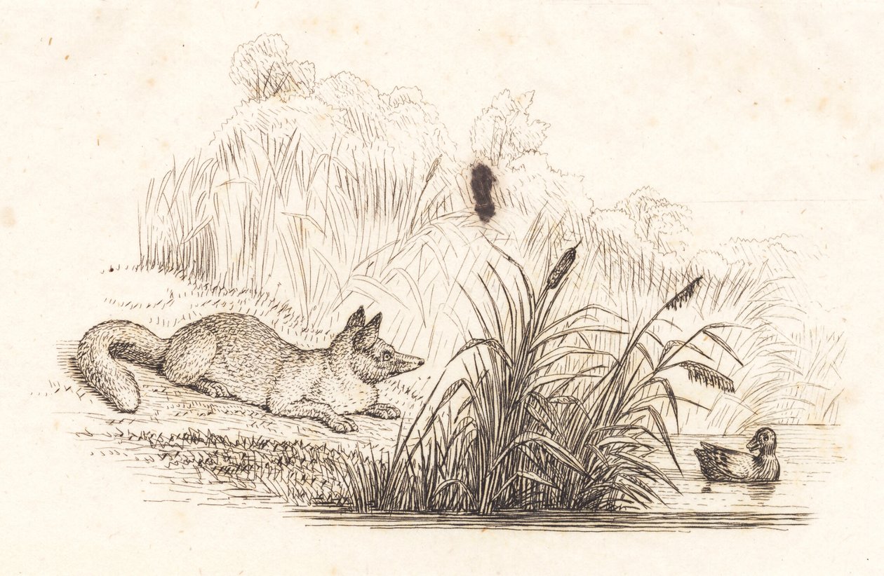 Illustration zu "Halvhundrede Fabler for Børn" von Hey von Martinus Rørbye