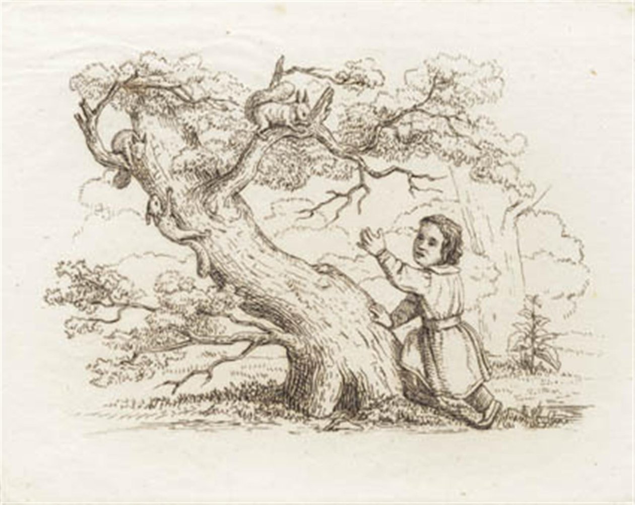 Illustration zu "Halvhundrede Fabler for Børn" von Hey von Martinus Rørbye