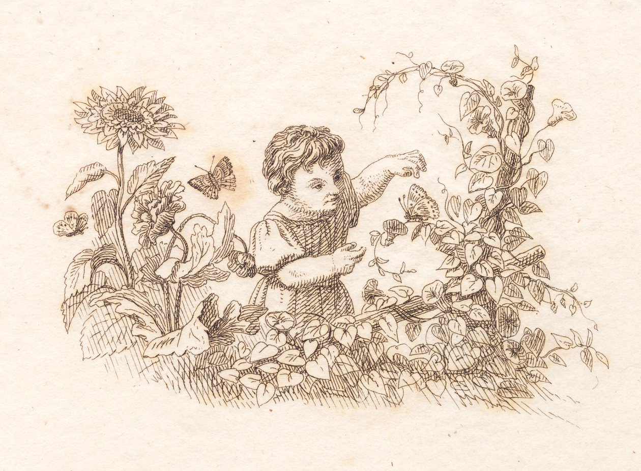 Illustration zu "Halvhundrede Fabler for Børn" von Hey von Martinus Rørbye