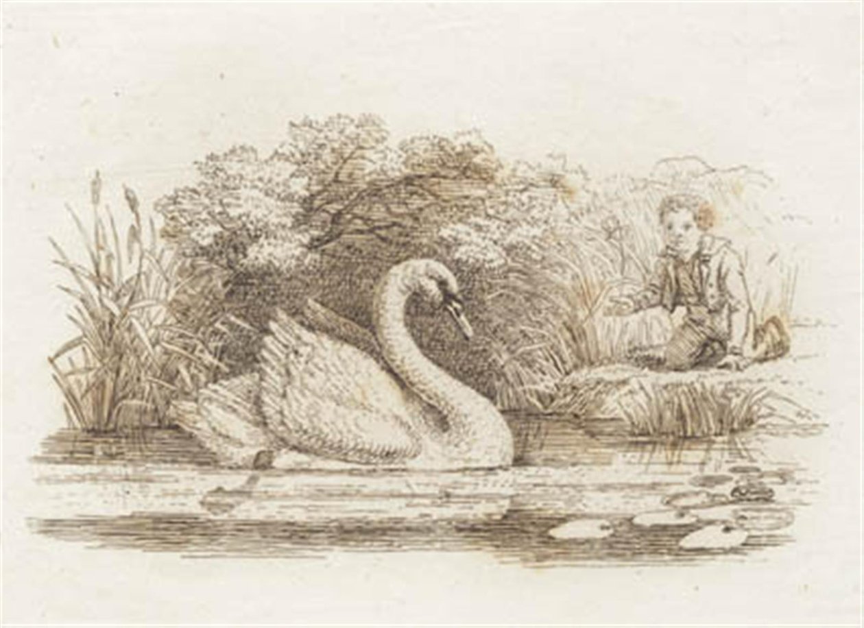 Illustration zu "Halvhundrede Fabler for Børn" von Hey von Martinus Rørbye