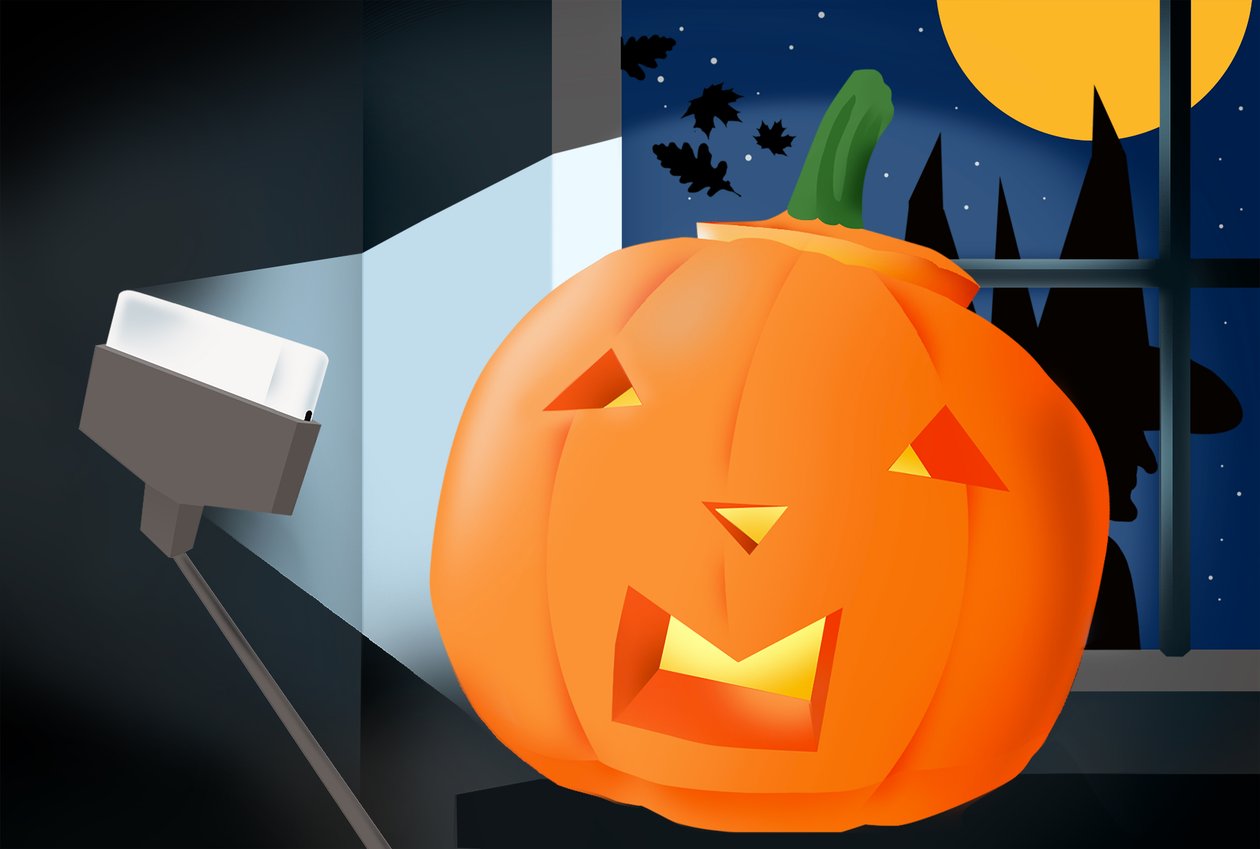 Halloween von Mary Ann Smith