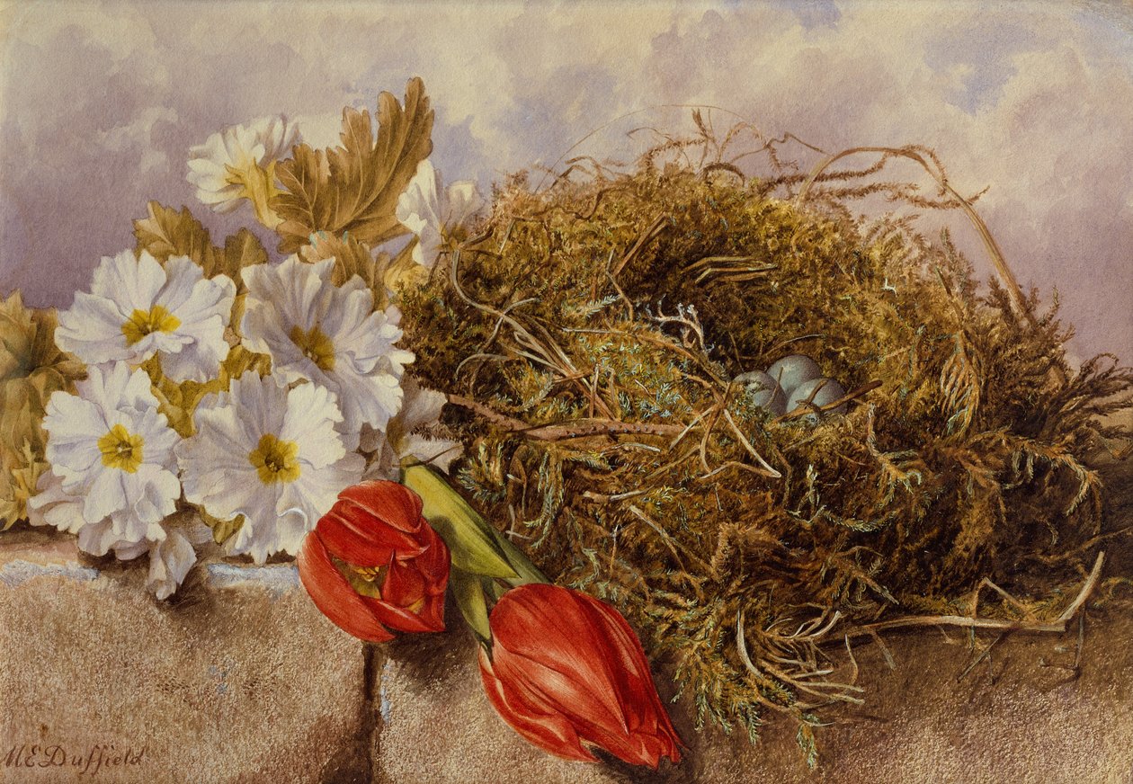Ein Stillleben mit blühenden Tulpen und einem Vogelnest auf einem Sims von Mary Elizabeth Duffield