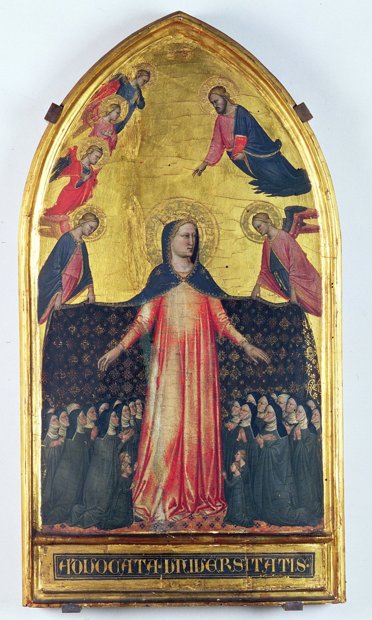 Madonna della Misericordia von Master of the Accademia Madonna