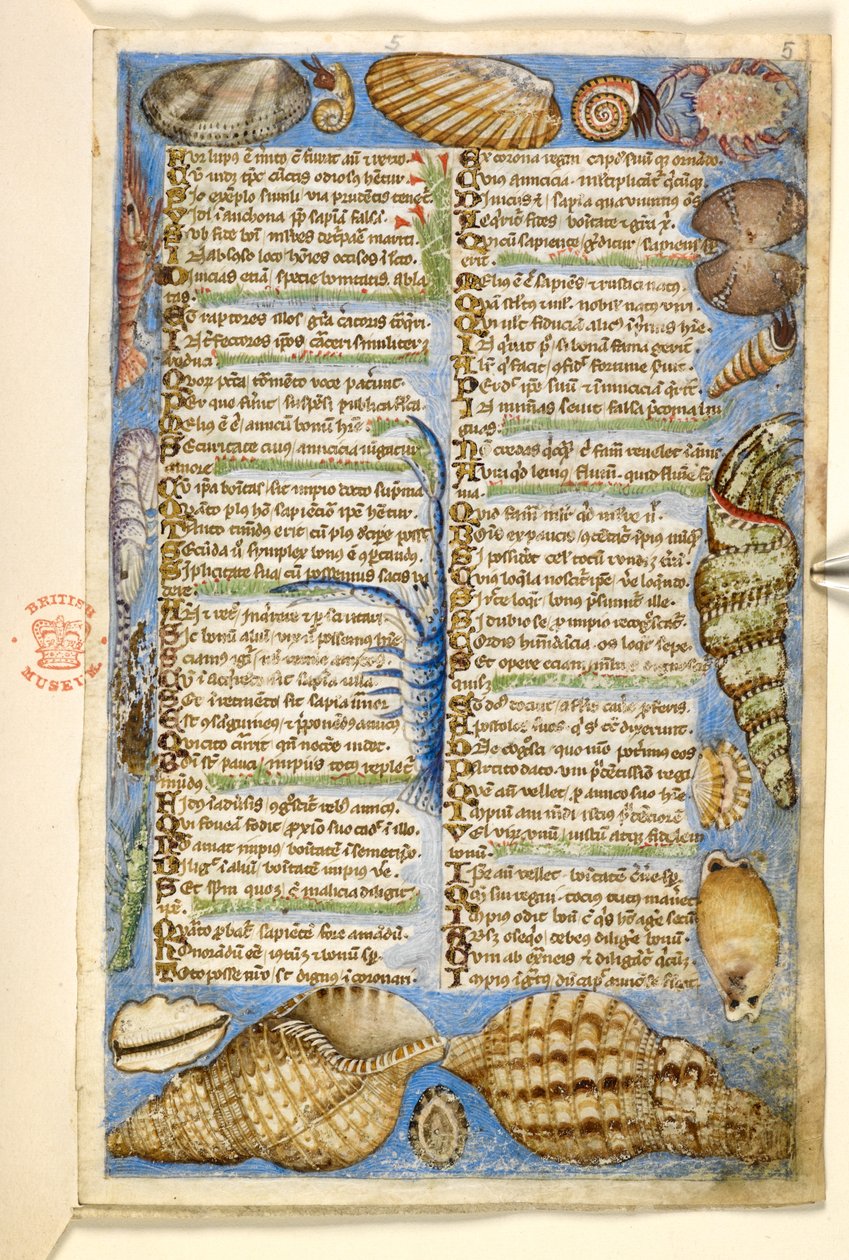 Add. 28841, f.5: Muscheln und Meereskreatur, aus einem Traktat über die Tugenden und Laster und einer anonymen Prosageschichte Siziliens (Fragment), ca. 1330-40 von Master of the Cocharelli Codex