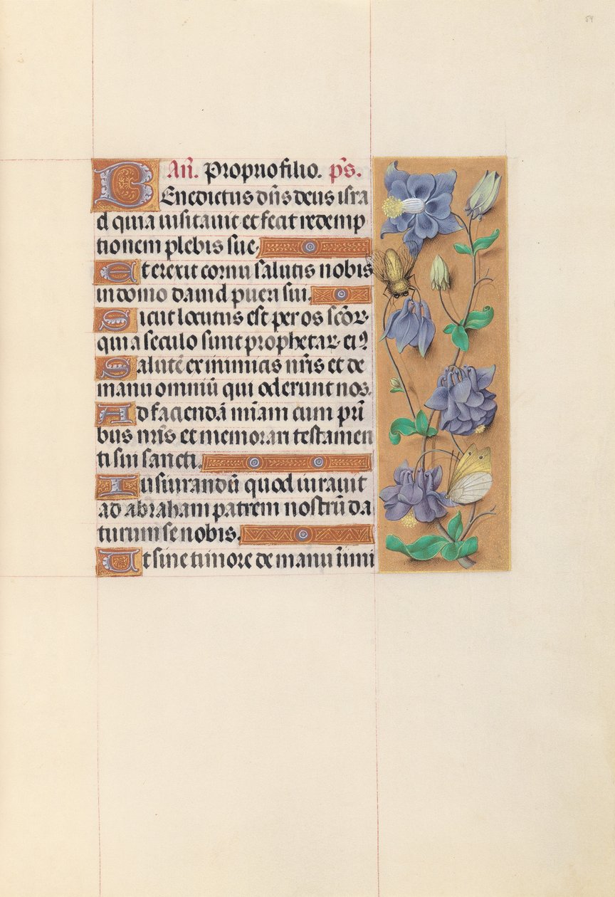 Stundenbuch der Königin Isabella der Katholischen, Königin von Spanien: Fol. 59r von Master of the First Prayerbook of Maximillian