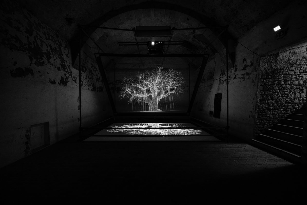 Albion, 2017 von Mat Collishaw