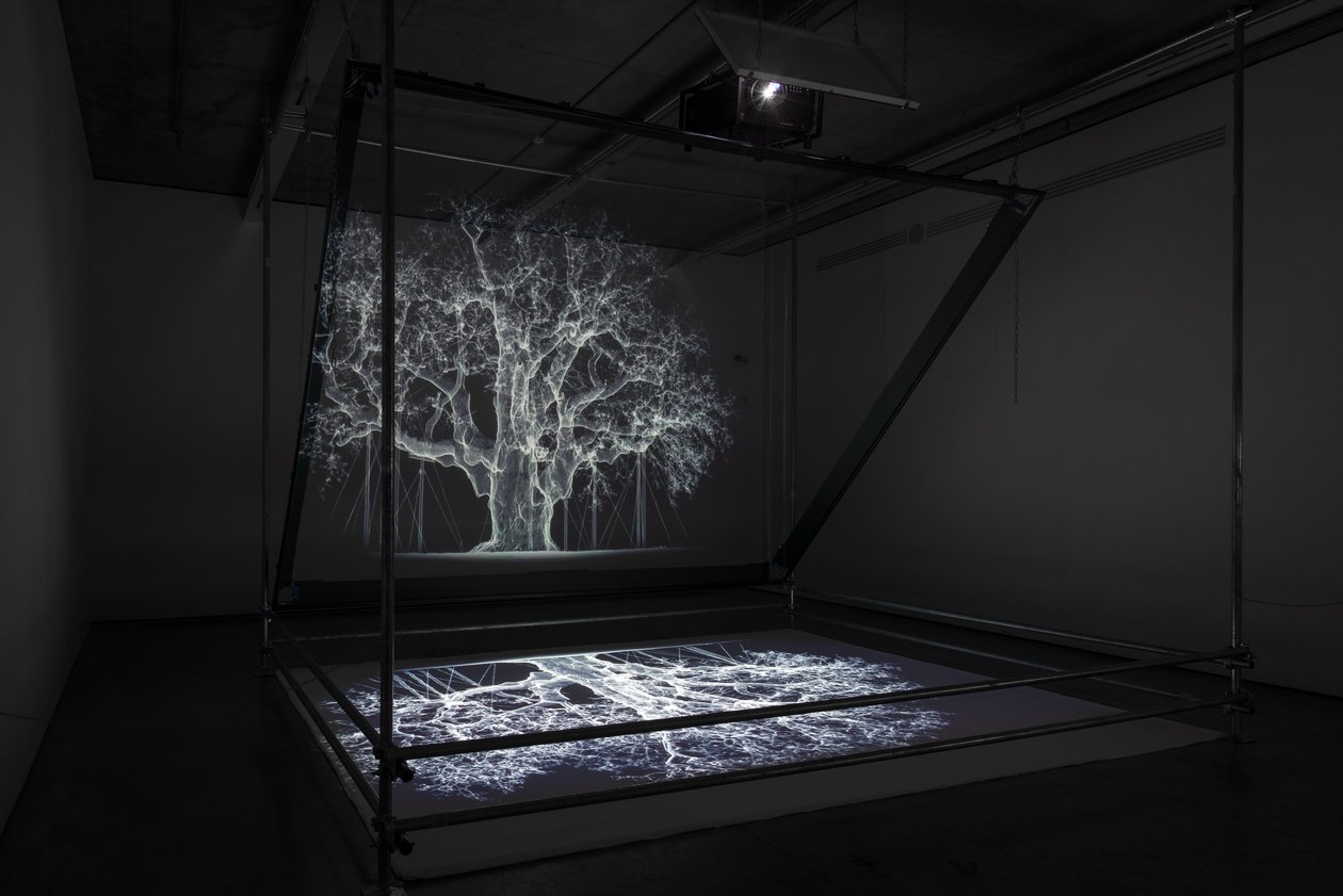 Albion, 2017 von Mat Collishaw