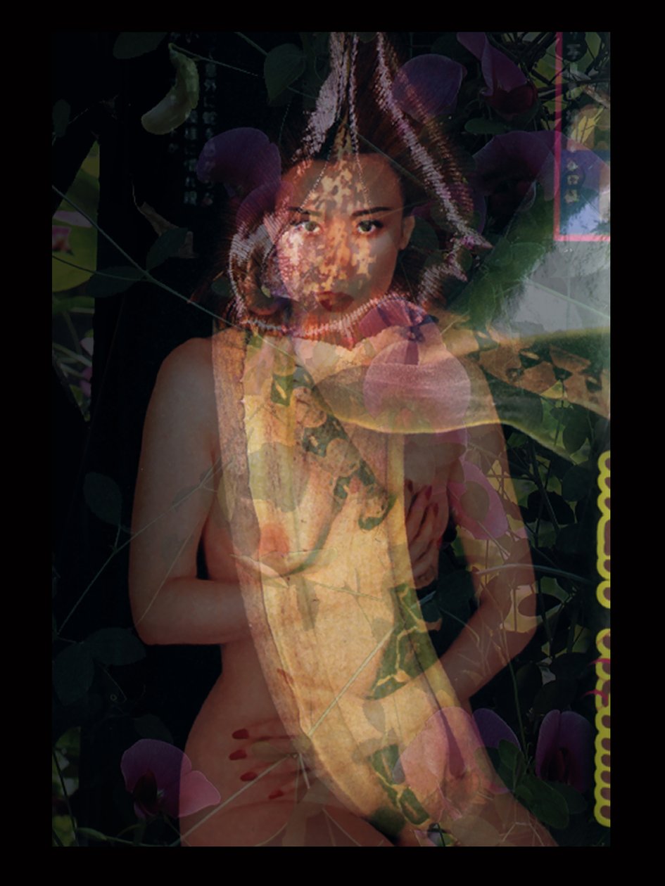 Fleischfresser 1 von Mat Collishaw