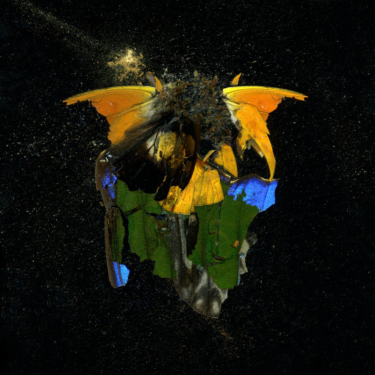 Insektizid 14, 2009 von Mat Collishaw