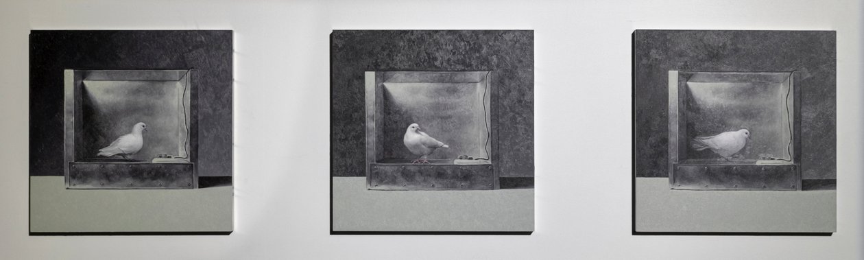 Operante Konditionierungskammer 3, 2022 von Mat Collishaw