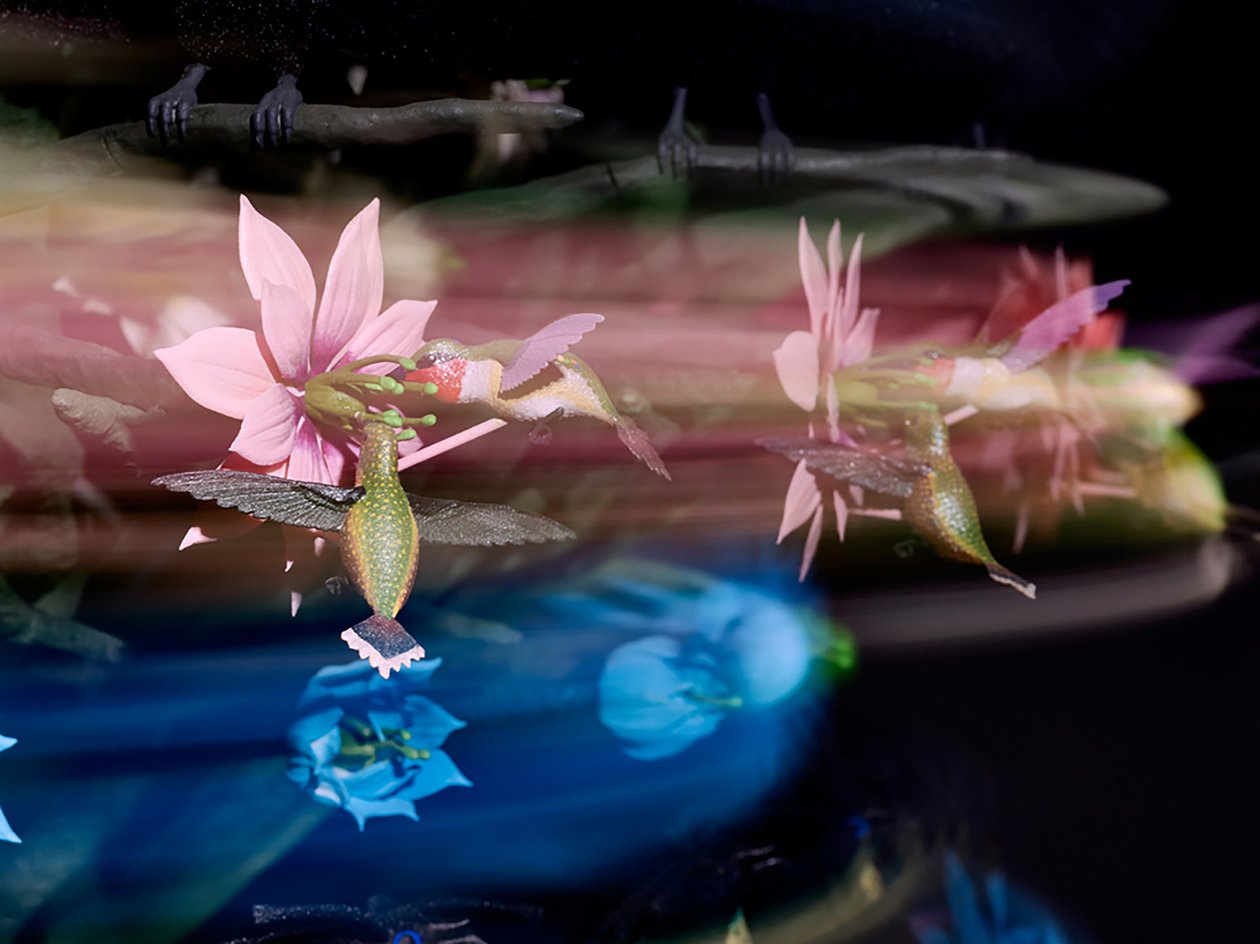 Die Zentrifugalseele, 2016 von Mat Collishaw
