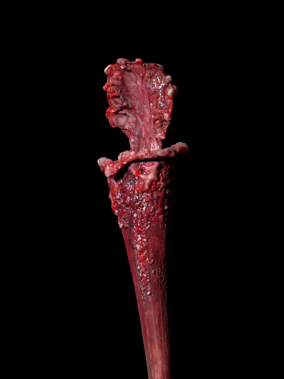 Die käufliche Muse, Fenside, 2012 von Mat Collishaw
