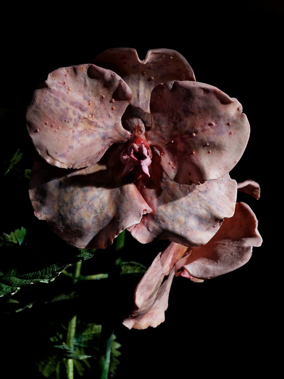 Venale Muse, Impetus, 2012 von Mat Collishaw
