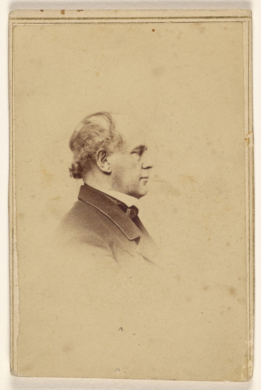 [Unbekannter Mann im Profil, im Vignettenstil gedruckt] von Mathew B. Brady