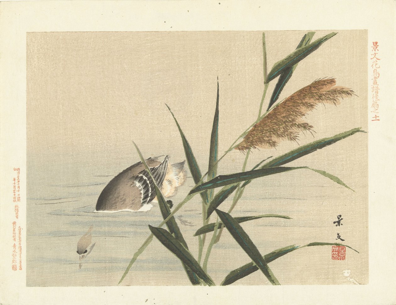 Tauchende Ente bei Schilf. Blumen- und Vogelskizzen von Keibun - Teil drei von Matsumura Keibun