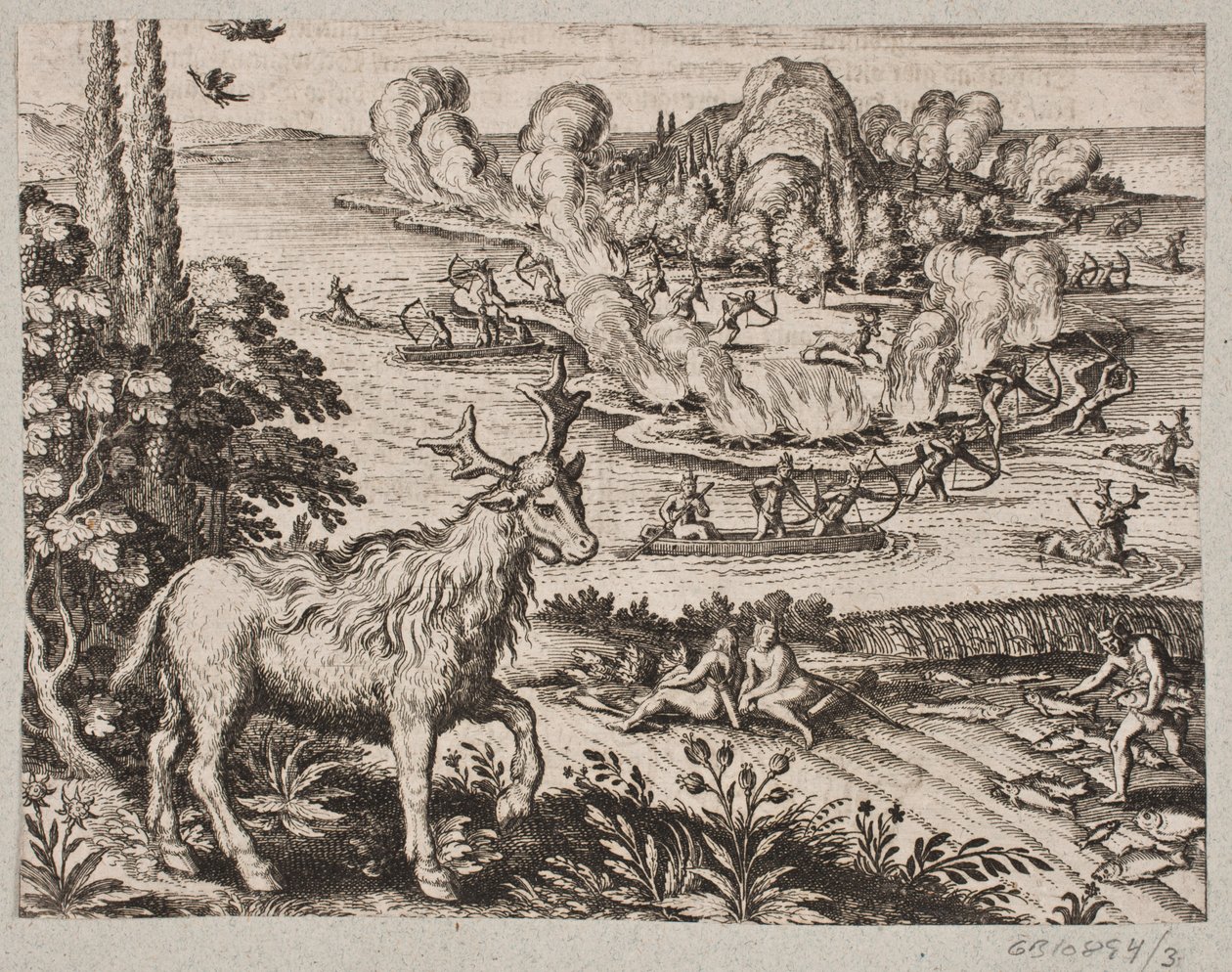 Hier kann ich nicht umhin, an das äußerst wunderbare Wesen zu denken, das die Eingeborenen Mosse nennen von Matthäus Merian d.Æ.