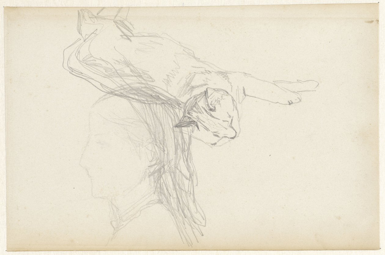 Studie einer liegenden Katze und eines Mädchenkopfes von Matthijs Maris