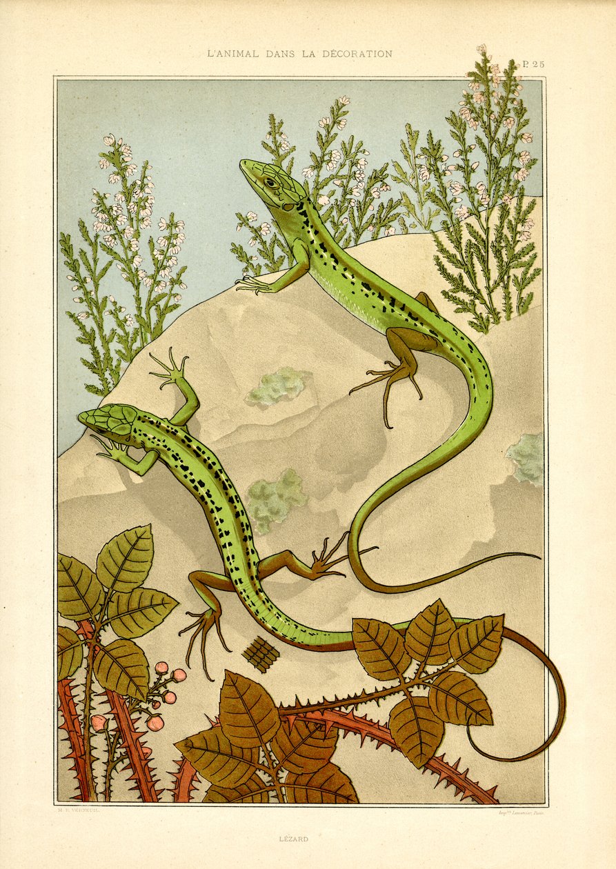 Naturalistisches Eidechsenmotiv im Jugendstil von Maurice Pillard Verneuil
