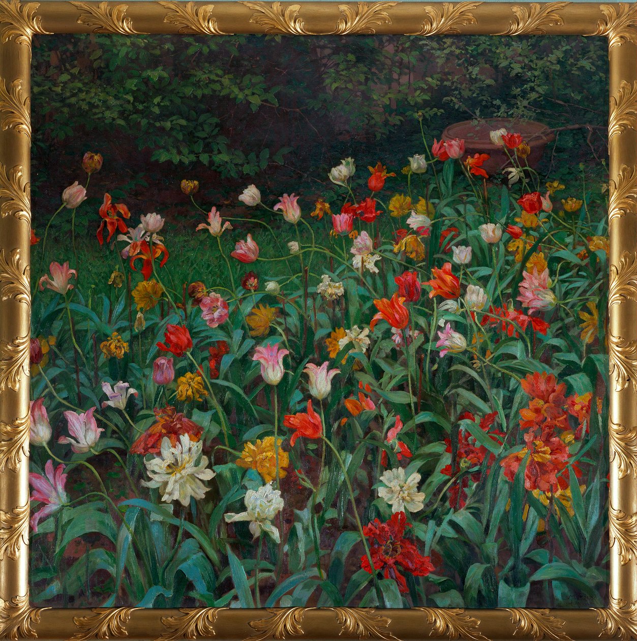 Tulpen von Maximilian Lenz