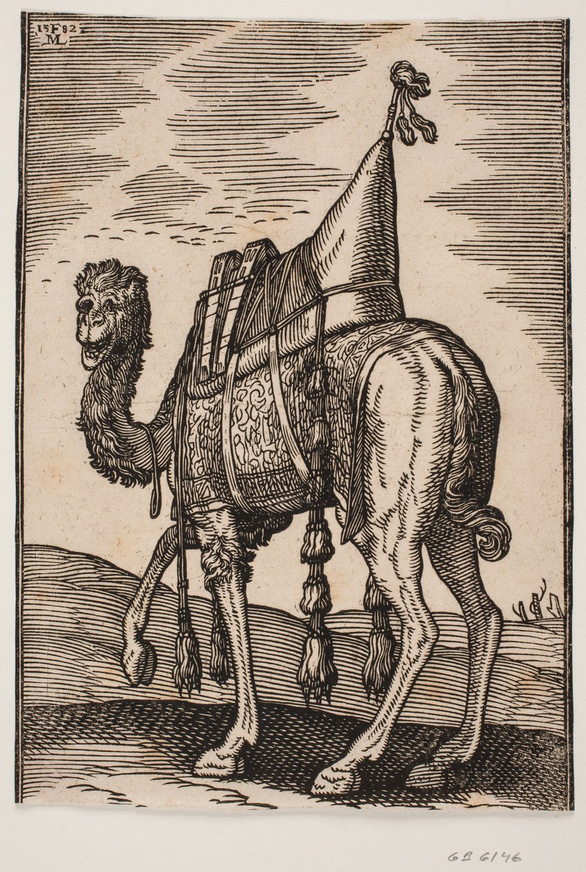 Ein gesatteltes Kamel von Melchior Lorck