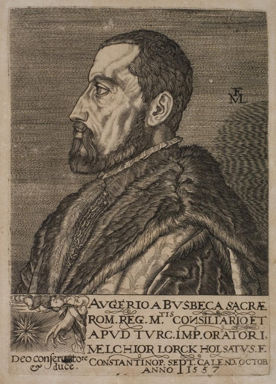 Porträt von Ogier Ghiselin de Busbecq, kaiserlicher Gesandter von Melchior Lorck