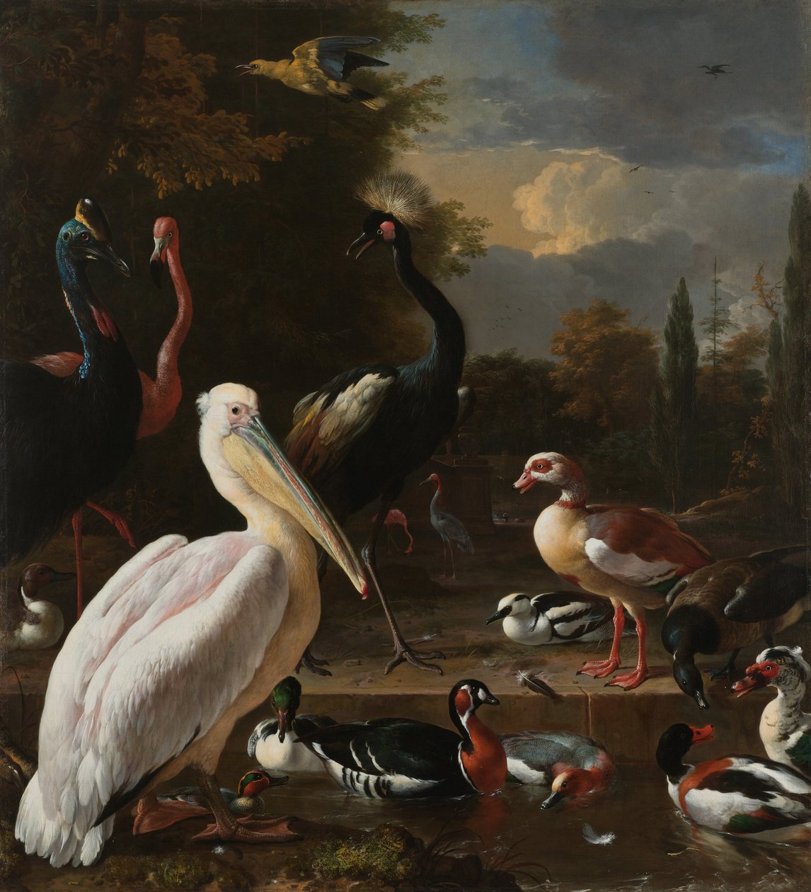 Ein Pelikan und andere Vögel bei einem Wasserbecken, bekannt als 