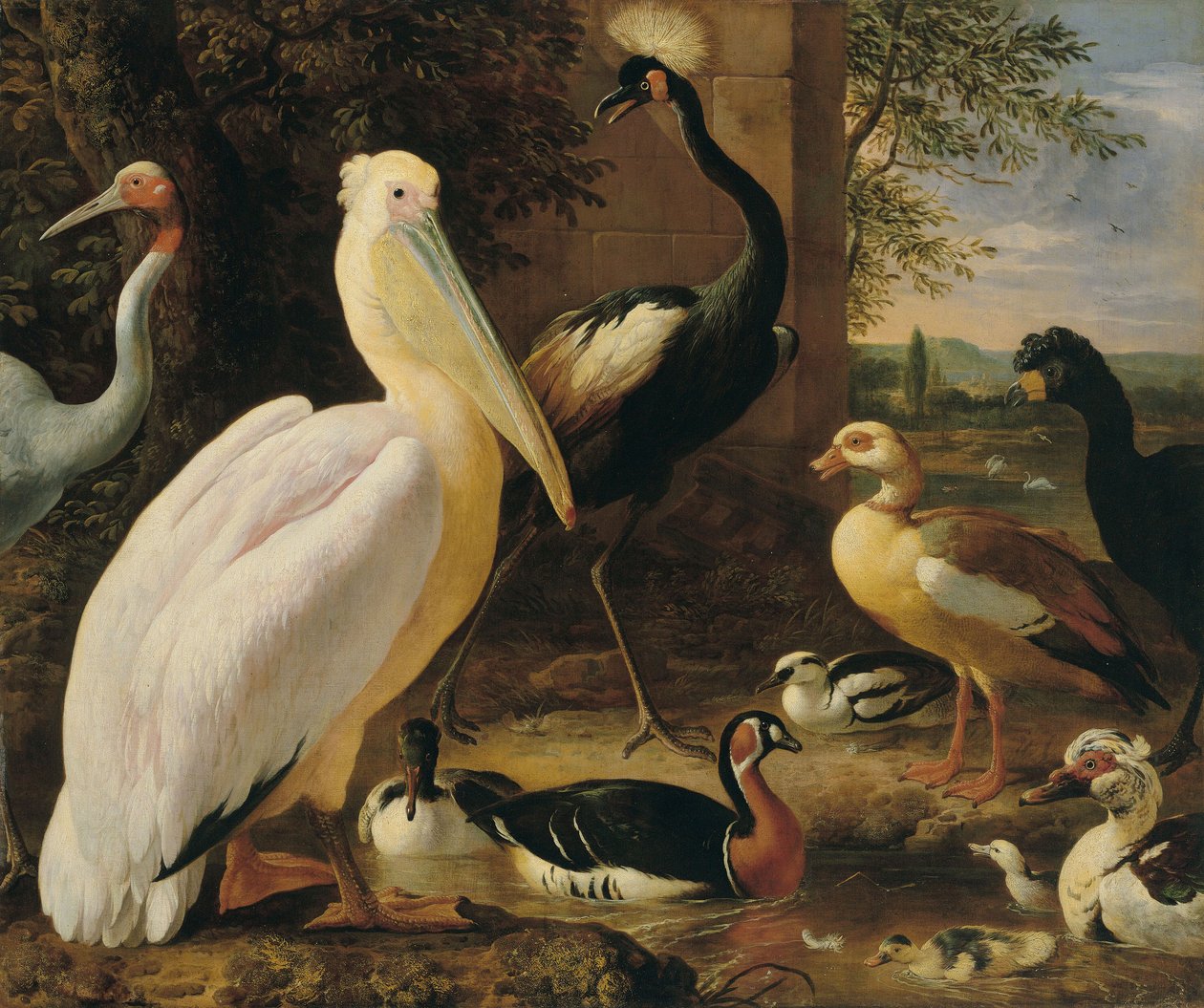 Pelikan, Kronenkranich, Hokkohuhn, Saruskranich und Enten in einer Flusslandschaft von Melchior d