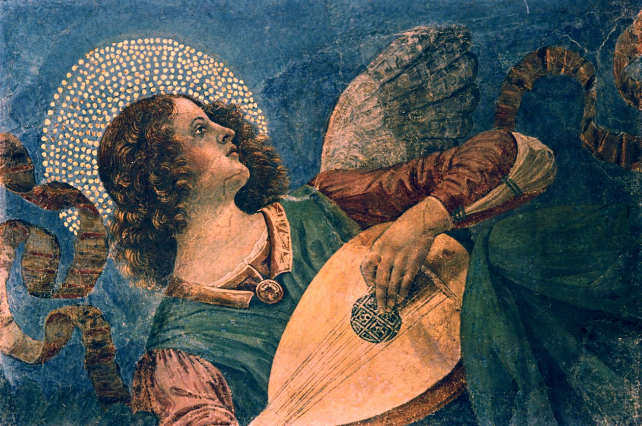 Ein Engel, der Laute spielt, 15. Jahrhundert von Melozzo da Forli