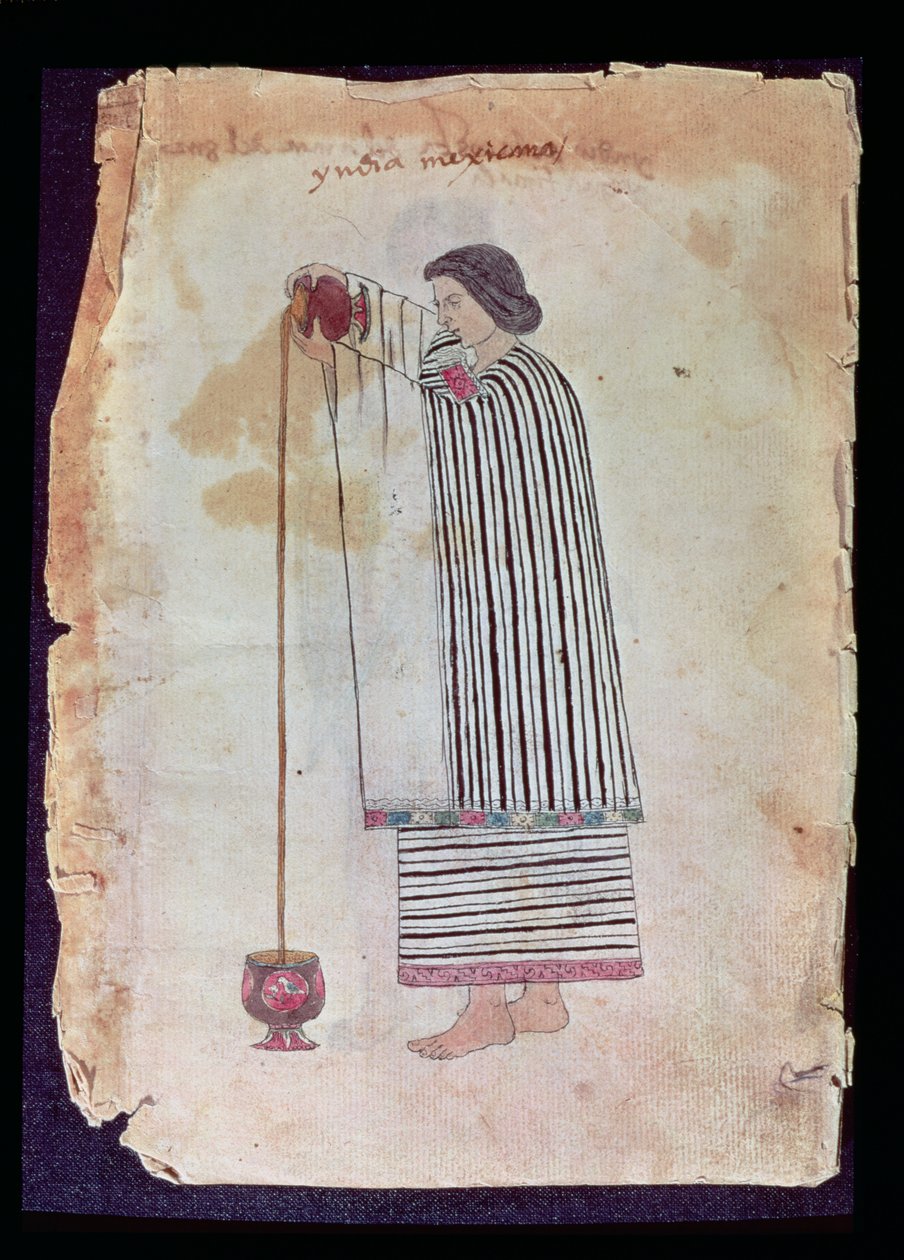 Mexikanischer Indianer bereitet Schokolade zu, aus dem Codex Tuleda, 1553 von Mexican School