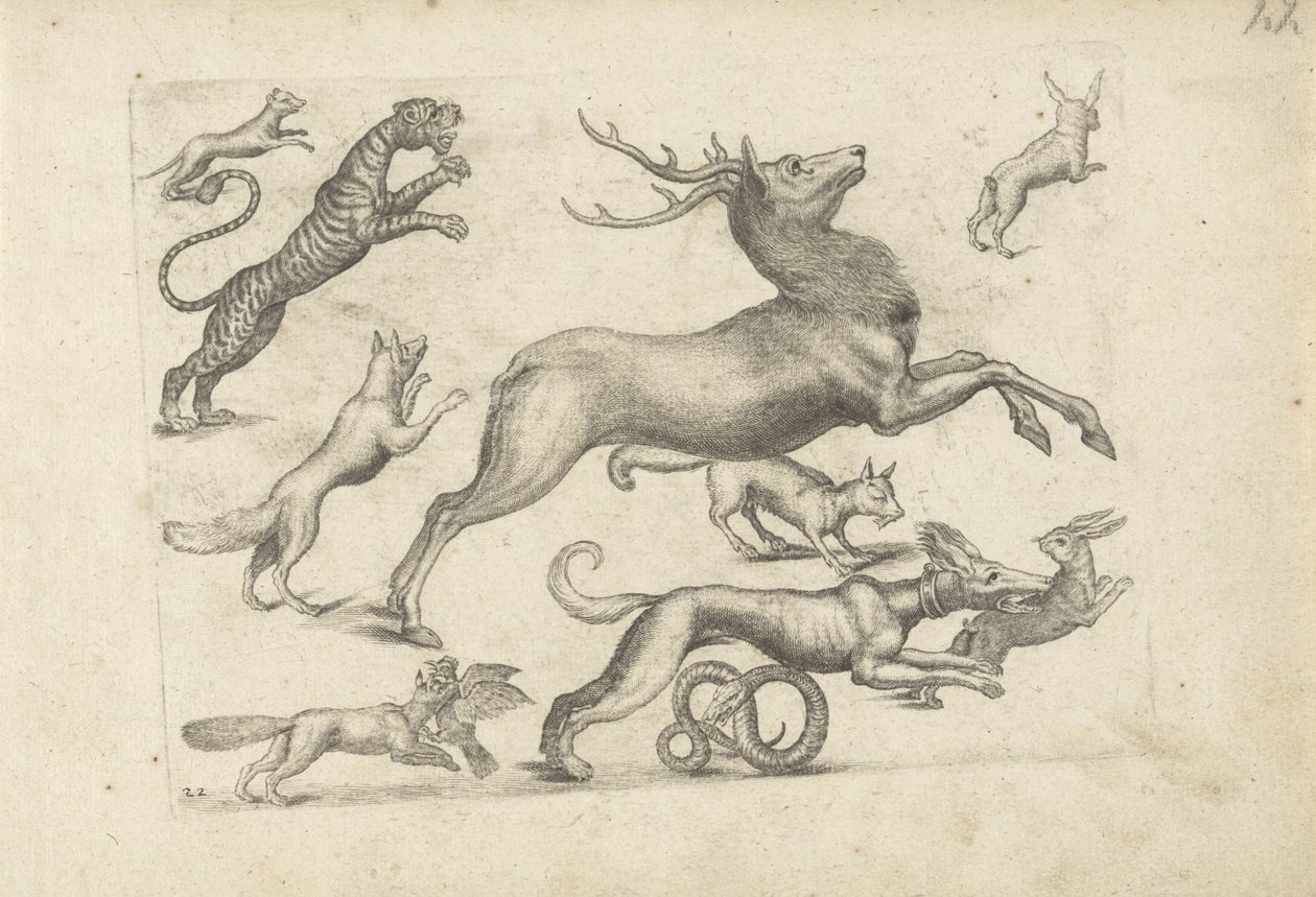 Studienblatt mit Zeichenbeispielen: verschiedene Tiere von Michael Snijders (attributed to)