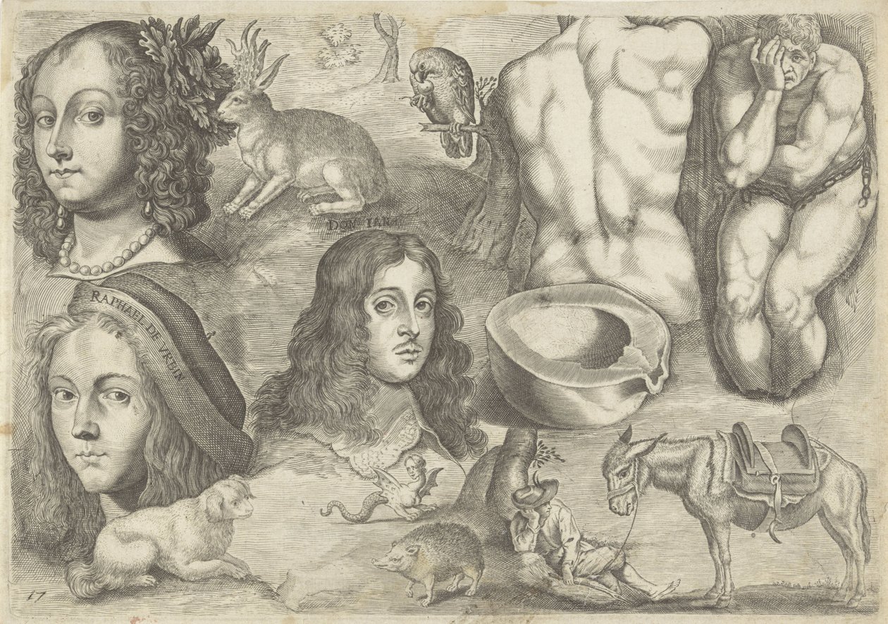 Studienblatt mit Zeichenbeispielen: Köpfe, Tiere, Figuren von Michael Snijders