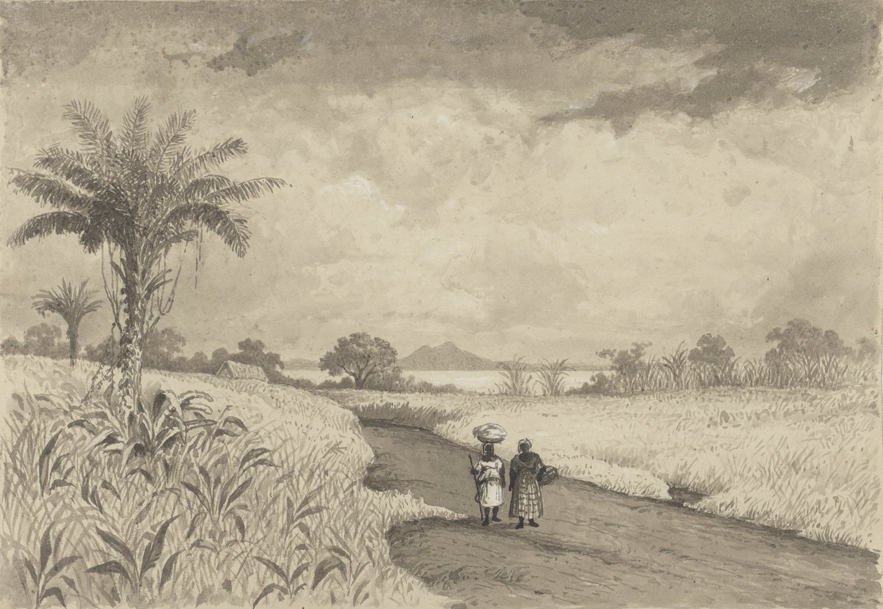 Der Weg zum Pitch Lake von Michel Jean Cazabon