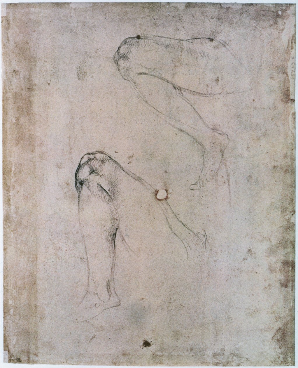 Sixtinische Kapelle Decke (1508-12): Zwei Skizzen des rechten Beins von Eva aus der Szene der Erbsünde von Michelangelo Buonarroti