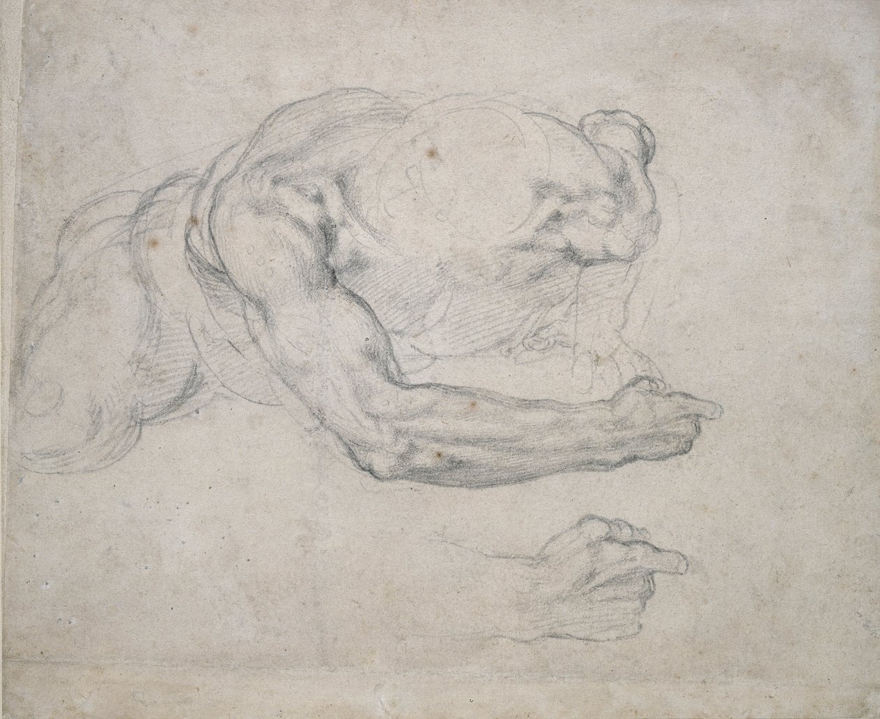 Studie eines Mannes, der vom Boden aufsteht von Michelangelo Buonarroti