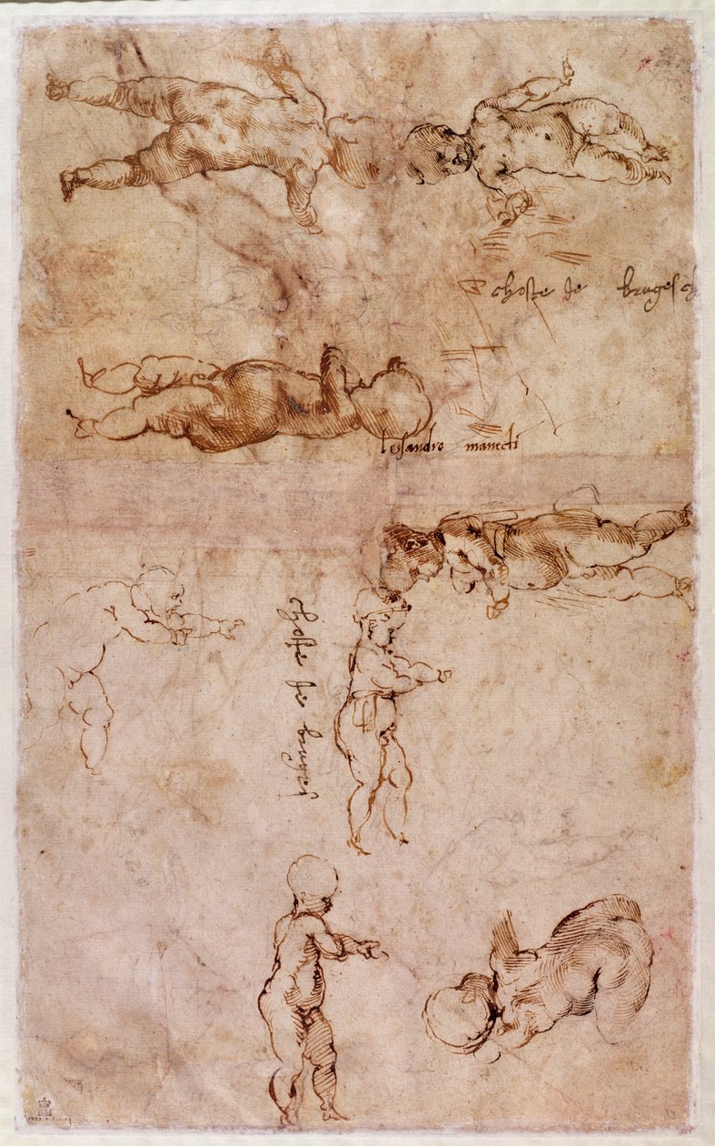 W.4v Seite mit Skizzen von Babys oder Putten von Michelangelo Buonarroti