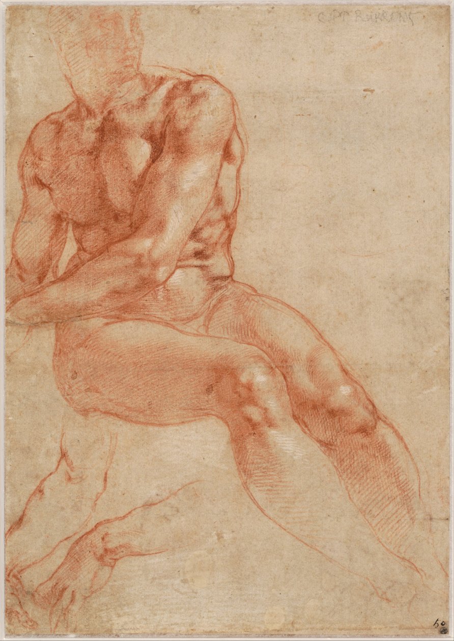 Sitzender junger männlicher Akt und zwei Armstudien (recto), ca. 1510-11 von Michelangelo