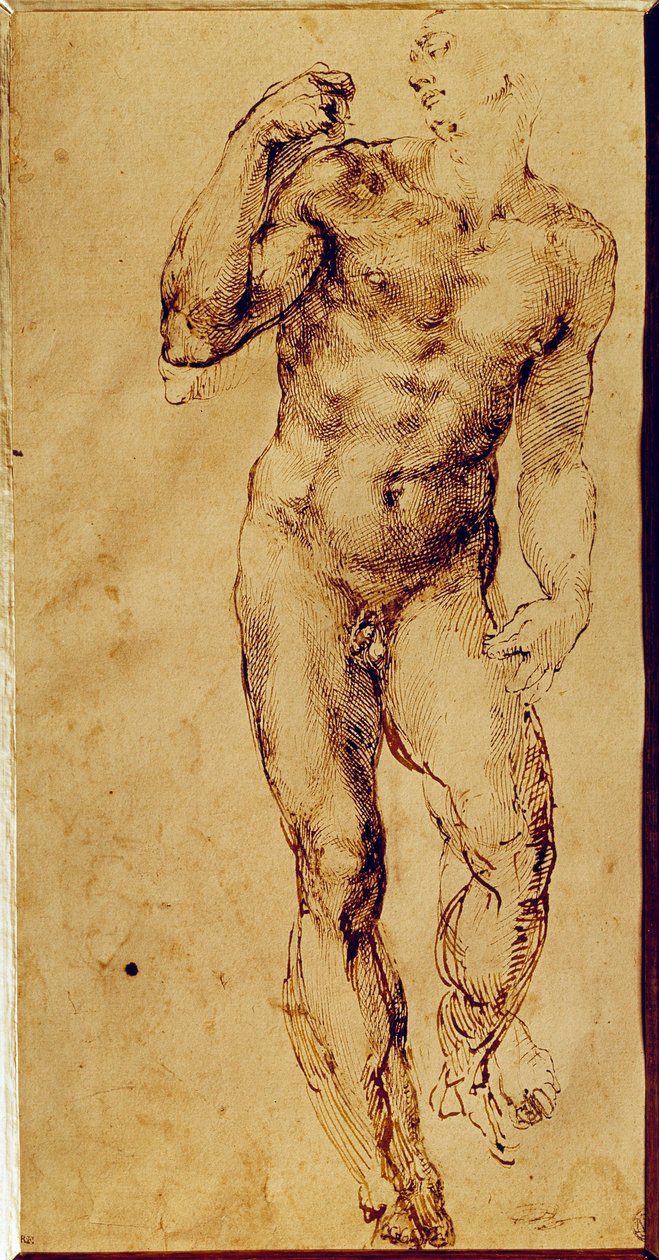 Studie eines stehenden nackten Mannes von Michelangelo Buonarroti