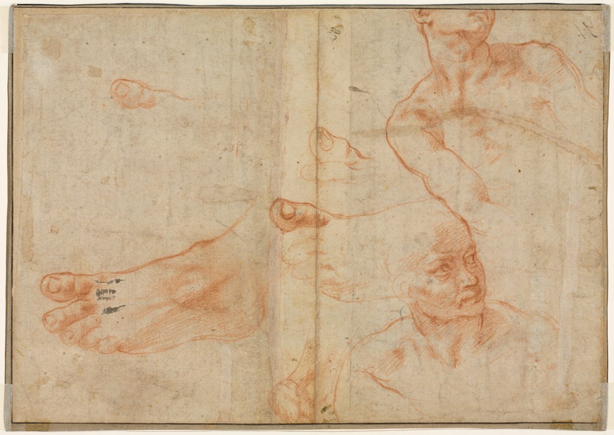 Figurenstudien für die Sixtinische Decke (verso) von Michelangelo Buonarroti