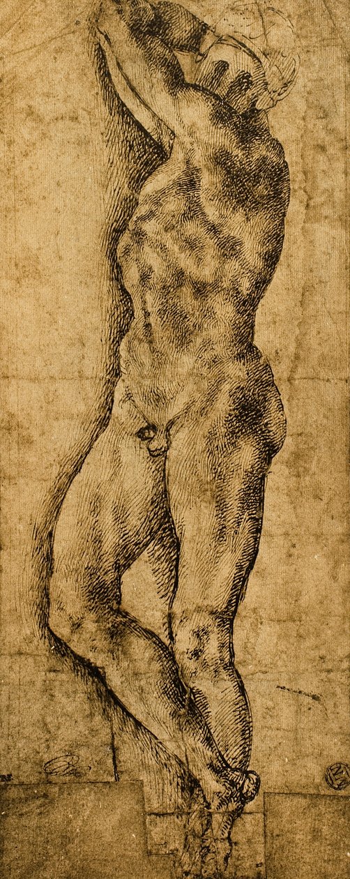 Männlicher Akt; Zeichnung von Michelangelo. Der Louvre, Paris von Michelangelo Buonarroti
