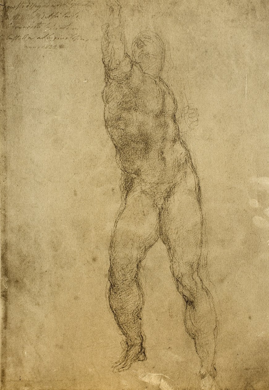 Aktstudie, Zeichnung von Michelangelo. Gallerie dell