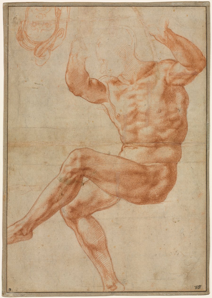Studie für den nackten Jüngling über dem Propheten Daniel (recto) von Michelangelo Buonarroti