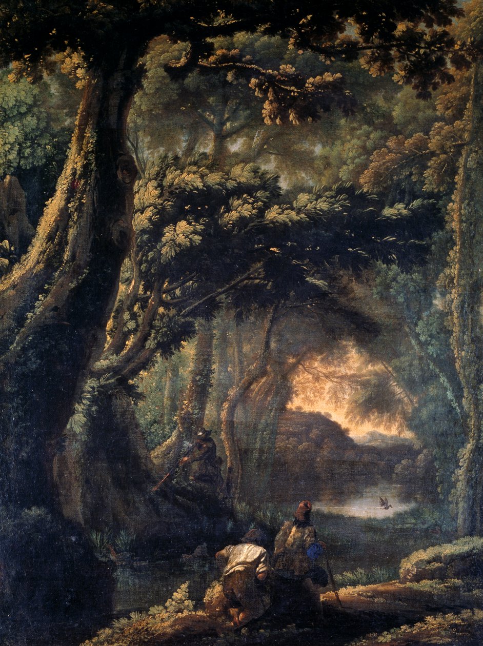 Blässhuhn-Jagd von Michelangelo Cerquozzi