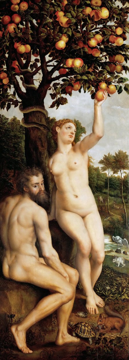 Der Sündenfall von Michiel I Coxie or Coxcie