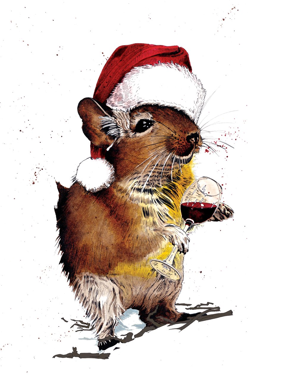 Weihnachts-Degu auf Weiß, 2020 von Mike Davis