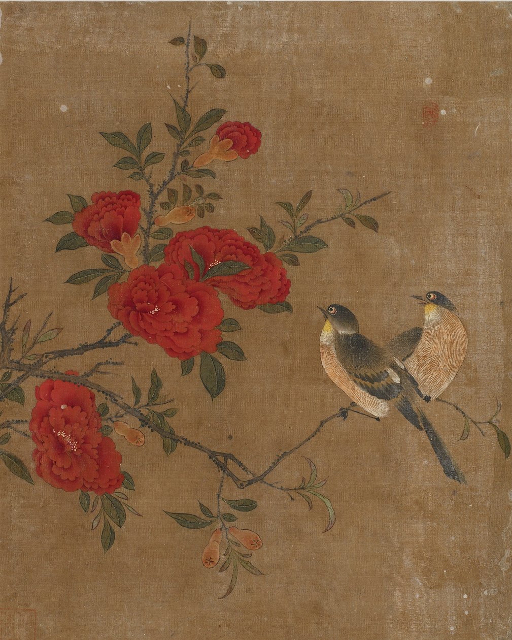 Zehn Bilder von Vögeln und Blumen von Ming Dynasty Chinese School