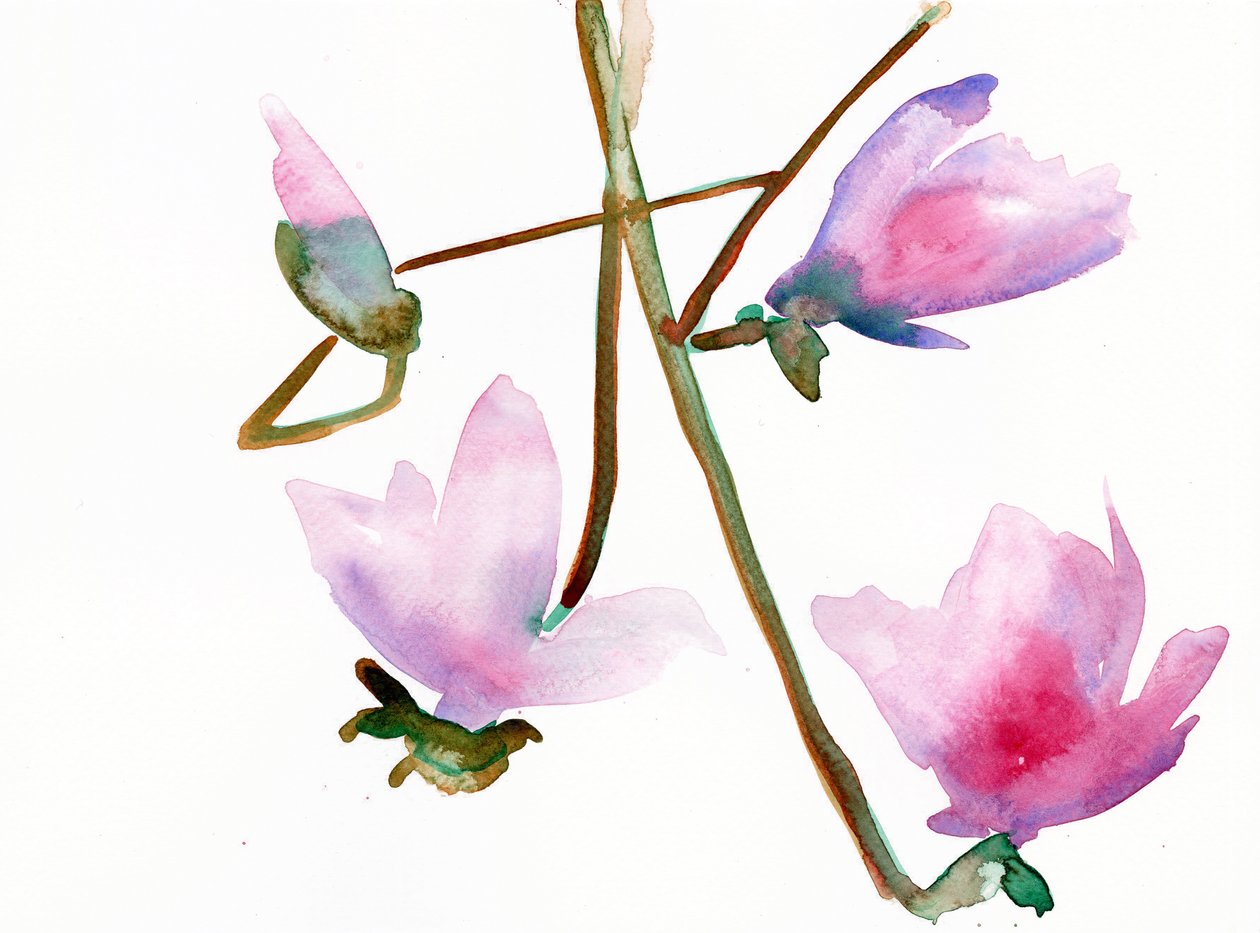 Magnolie 1, 2022 von Monica Perez Vega