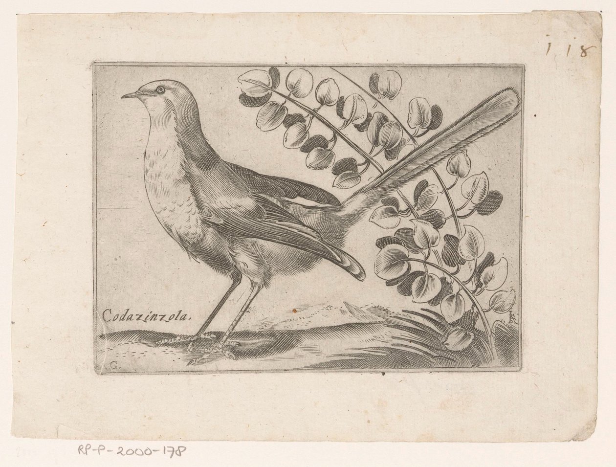 Vogel von Monogrammist AG