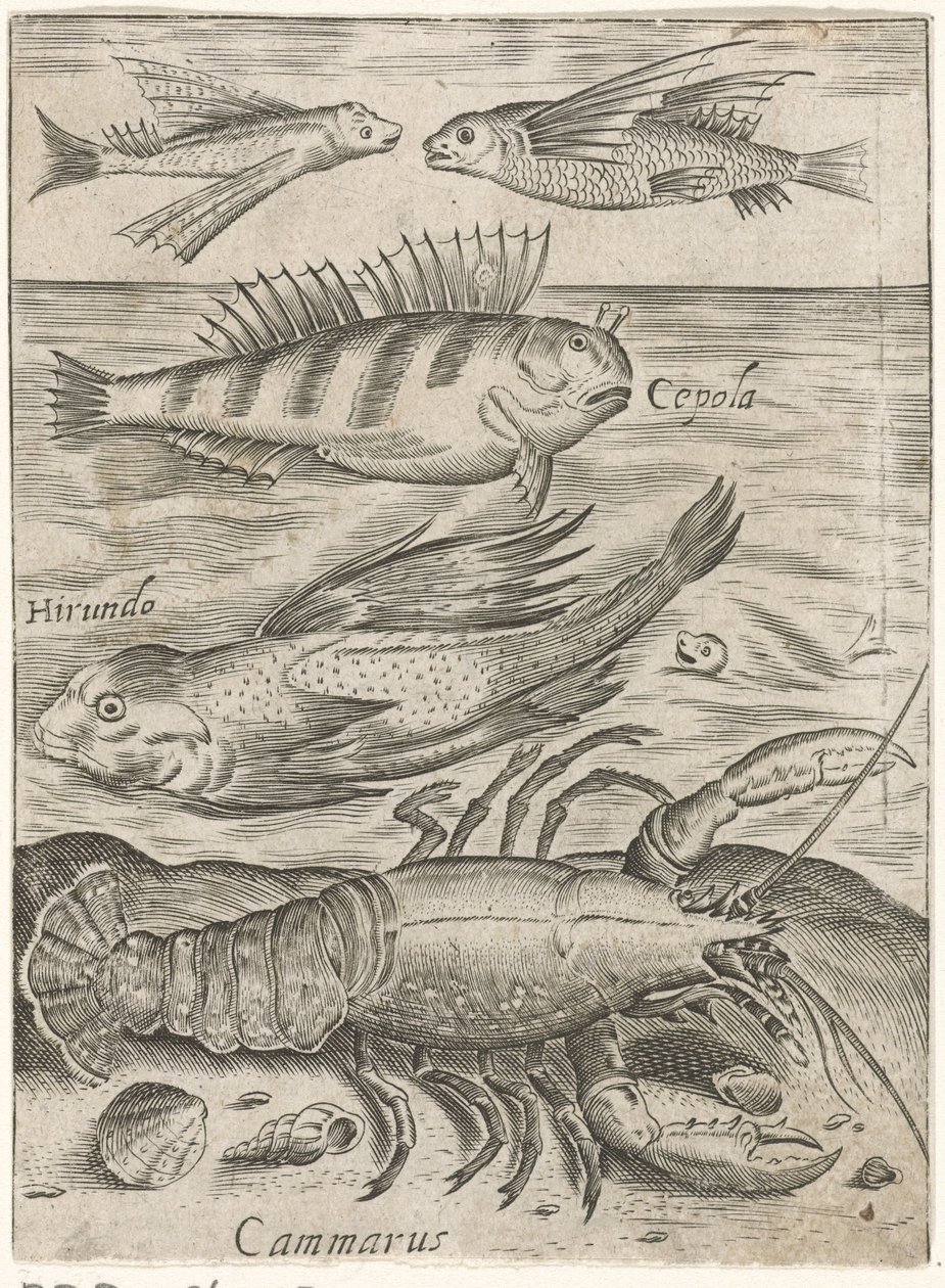 Studienblatt mit vier Fischen und einem Krebs von Monogrammist P+P