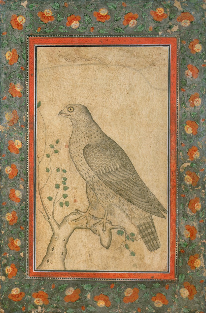 Falke auf einem belaubten Baumstumpf, um 1650 von Mughal School